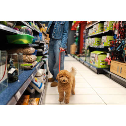 ESTABLISHED PET AND STOCK SUPPLY RETAILER