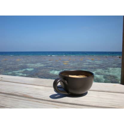 Coffee Shop. Stunning Oceanfront Location. Southern Gold Coast – Ideal for a Bar/Restaurant or ot...