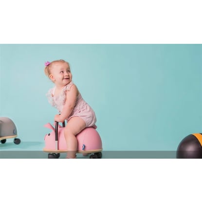 Wheely Bug Toys - Iconic Australian Toys - Online Business!