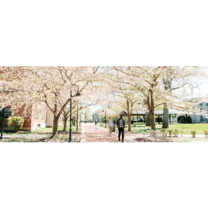 Leasehold available for NDIS, or SRS or Hostel operator (NJACS97)