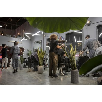 Hair Salon for Sale  Prime Crows Nest Location