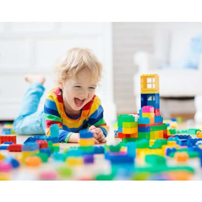 Large National Toy Product Importer, Wholesaler/Distributor #381