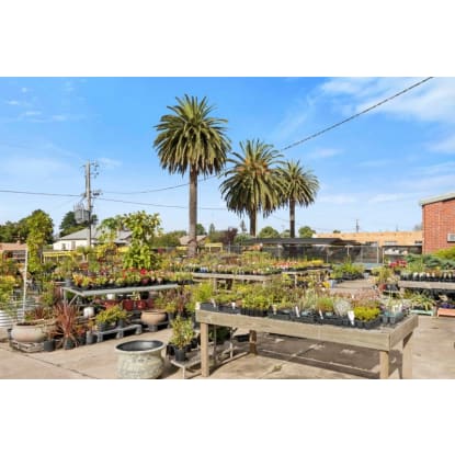 Multiflora Nursery - Colac (IWR2646)