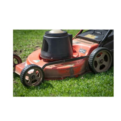 Mowing part time run in Noosa