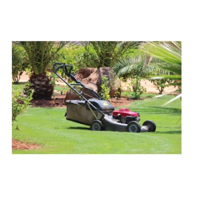 Mowing and Garden care- part time in Noosa area