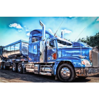 DOMINATING SPECIALLY NICHED TRANSPORT BUSINESS FOR SALE