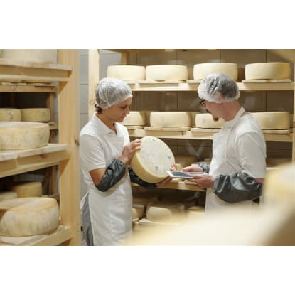 Multi Award Winning Cheese Producer & Modern Regional Cafe
