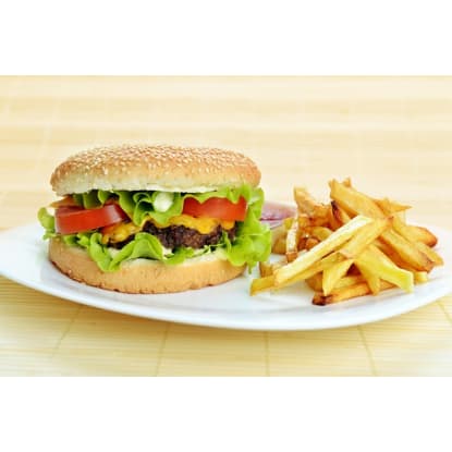 Takeaway- Burgers and Chips- Nets $7980 p.w.- South Sydney  - M2267