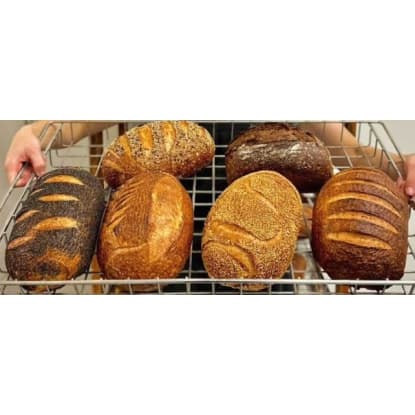 4 DAY SOURDOUGH BAKERY WEST SUBURBS $139,000+SAV