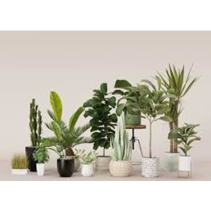 ARTIFICIAL PLANTS--MITCHAM --1P10820