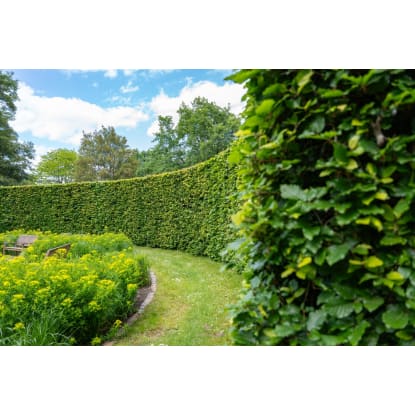 BAYSIDE TERRITORY – MOBILE HEDGE & GARDEN SERVICE BUSINESS | HIGH MARGINS