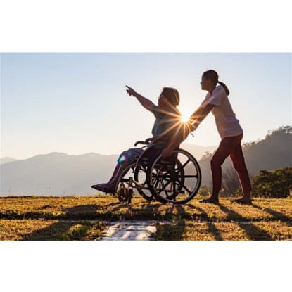 Diversified NDIS Provider for Sale / Australia