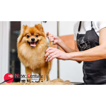 PET GROOMING --GARDENVALE -- 1P10832