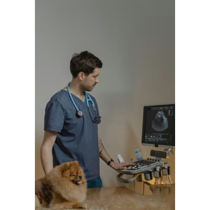 Agnes Coast Vet Clinic | Coastal Lifestyle + Profit