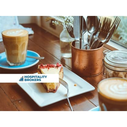 South Coast Lifestyle. $1M+ Revenue