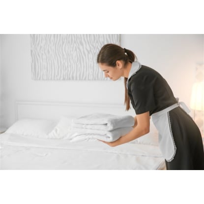 Prime Positioned and Established Motel and Freehold - Ref: 14268