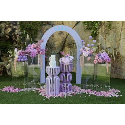 Well Established Wedding and Corporate Event Hire Business