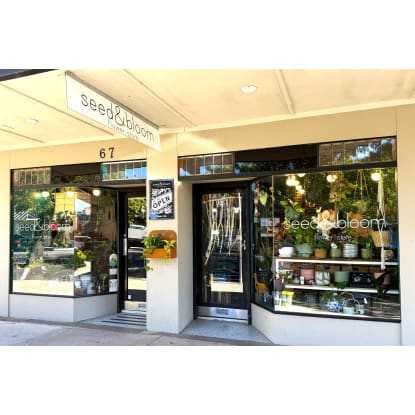 LEASEHOLD - Seed & Bloom Flower Store, Wangaratta - 1P0586