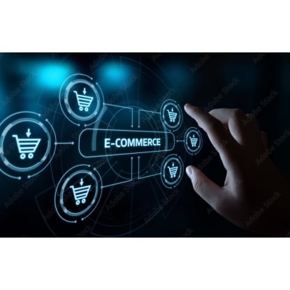 High-Growth eCommerce Brand - Unique Product, $250K+ Revenue