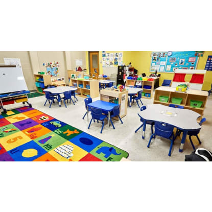 Major Educational Product Importer, Wholesaler/Distributor and Direct Online Supplier #422