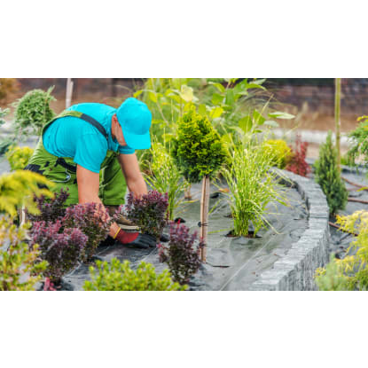 Outdoor & Garden Supplies Business Near Berwick | 10 Year Lease | $499K + SAV + Fleet [2507083]