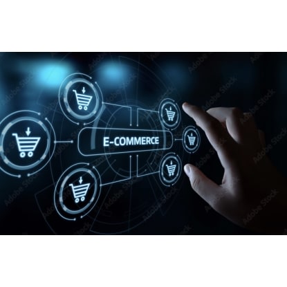 High-Growth eCommerce Brand - Unique Product, $250K+ Revenue