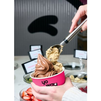 Established & Profitable Frozen Yogurt Business YO WAY