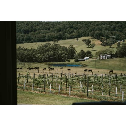 Award-Winning Two Figs Winery, Shoalhaven Coast