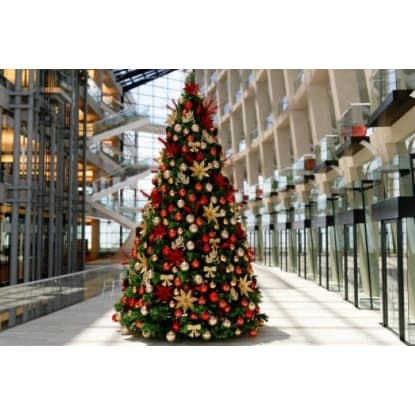 CHRISTMAS DECORATION RENTAL BUSINESS