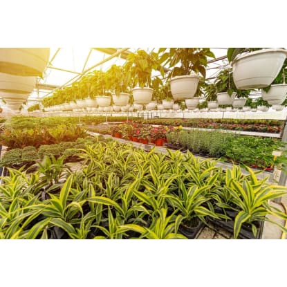 Horticulture, Nursery and Agriculture Businesses for Sale