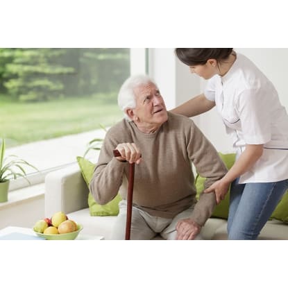 Well Established NDIS/Disability Registered and In Home Care Services Business #386