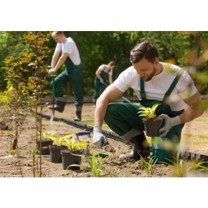 Premium Landscaping and Maintenance Business, Strong Growth!