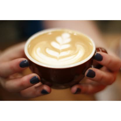 Port Douglas Business for Sale | Lifestyle & Investment Opportunity