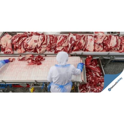NSW Meat Wholesalers 36 years Established $ 12 mil T/0 Per Year High Profits