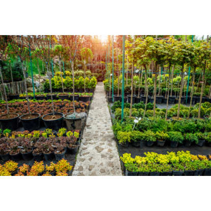 Profitable Regional Nursery | Semi-Passive Operation | Central Victoria