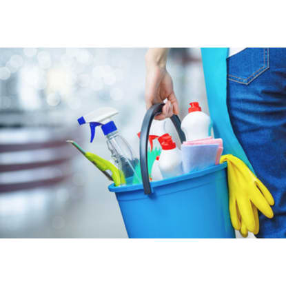 Established Cleaning Business