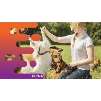 36875 Longstanding & Highly Reputable Dog Training Business - Proven Operation
