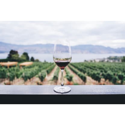 Established Winery & Vineyard Business on 20 Acres in Emerald VIC – Freehold Included [2604222]