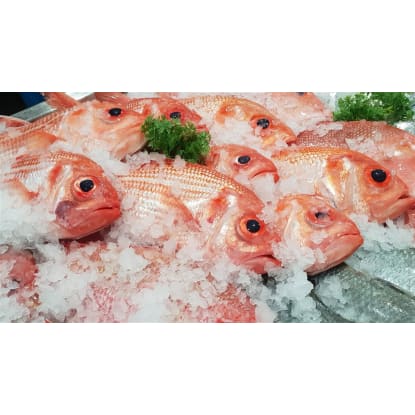 Fresh Seafood Business - Easy To Run