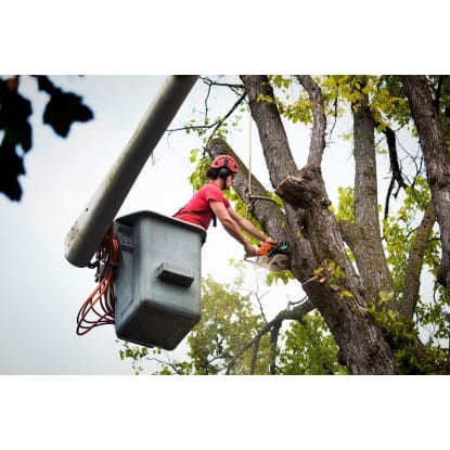 Highly Profitable Tree Servicing & Arborist Business - QLD