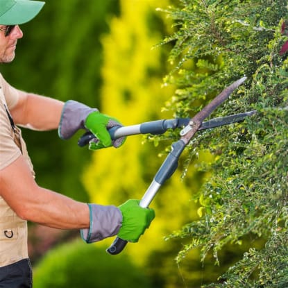 Coming Soon - Horticultural Garden Maintenance Business