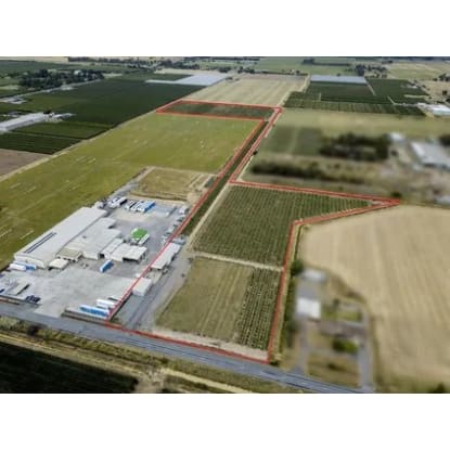 Premium Commercial Fig Orchard | Freehold Land | Established Agribusiness