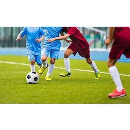 Niche Market Sports Product, Apparel and Equipment Outlet and National Online Webstore #411