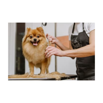 ID: 238 Pet Grooming Salon Sutherland Shire - Semi-Managed, High-Profit, New 3+3 Year Lease