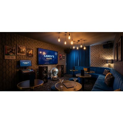 ID: 244 Karaoke business in the Hills District Limited competition and over $900K worth of fit-out