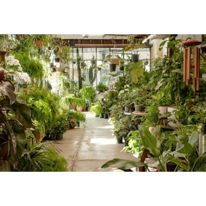 Fitzroy Nursery  Iconic CBD Nursery