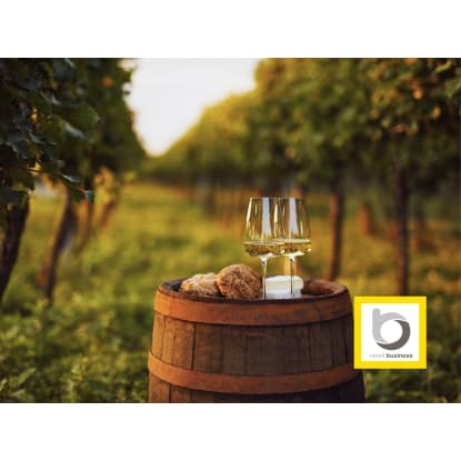 Award-Winning Hunter Valley Winery for Sale - Established Premium Wine Brand
