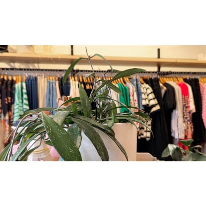 Fashion Boutique - Flexible Lifestyle Business