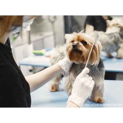 EXPRESS SALE – Pet Grooming at 9 locations in Metro Melbourne