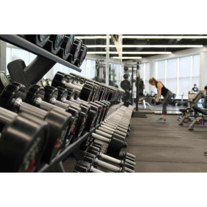 Two 24/7 Gyms, North Sydney & Seven Hills, $245,000 WIWO | ID: 1453